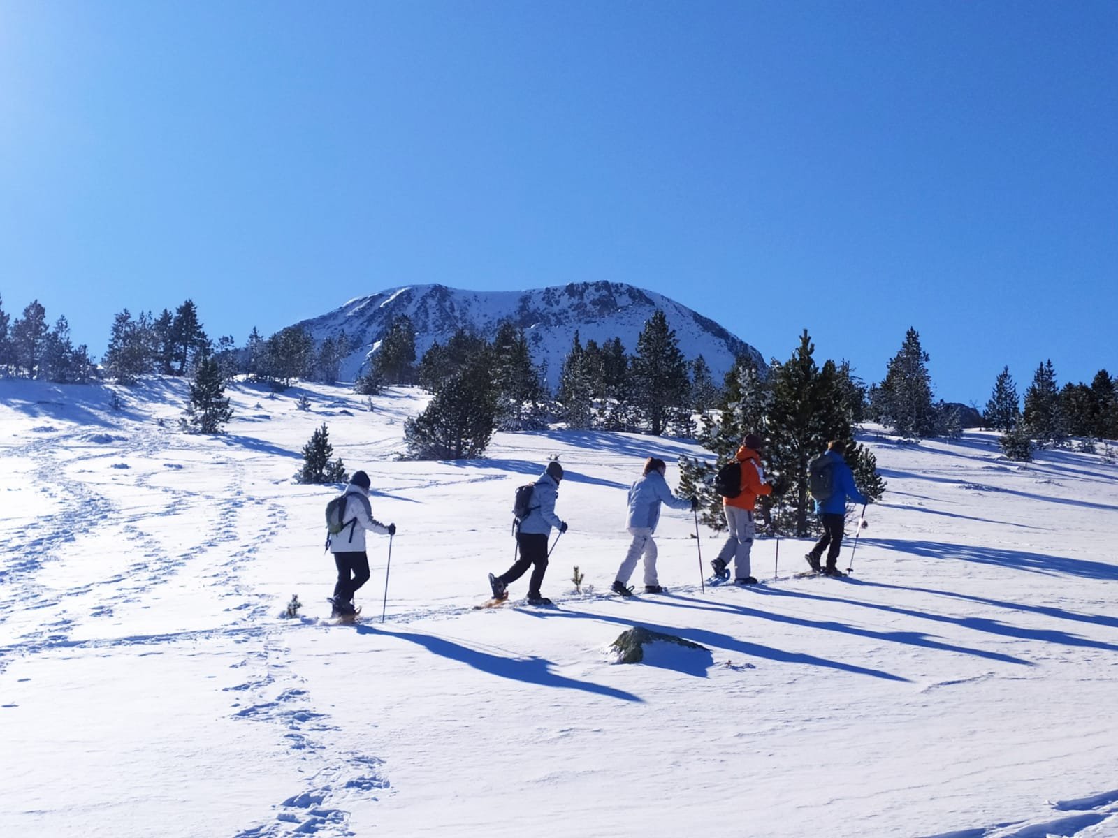 Activitats Cerdanya en Puigcerdà